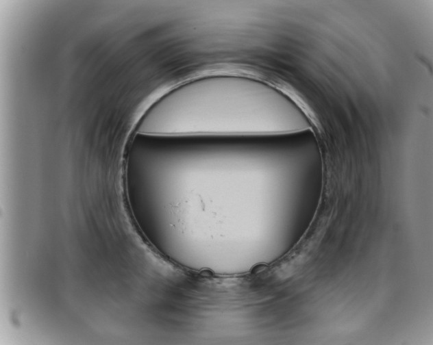 X0000096190853200801181006