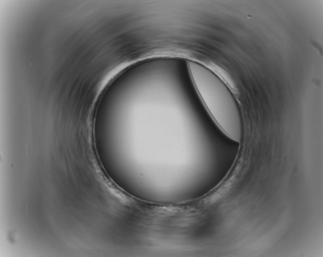 X0000096190854200801181006