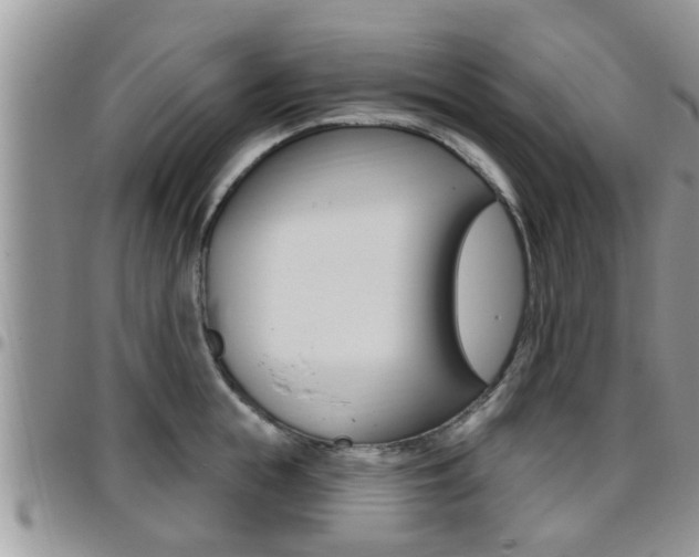 X0000096190855200801181006