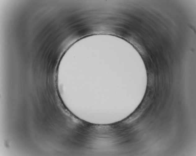 X0000096190856200801181006