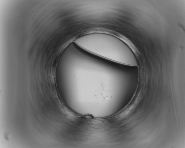 X0000096190857200801181006