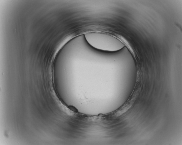 X0000096190859200801181007