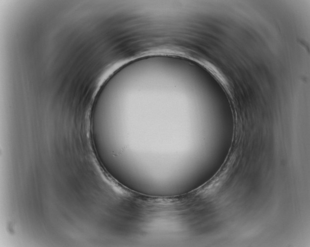 X0000096190862200801181007