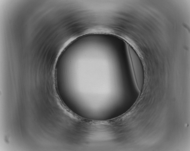 X0000096190864200801181007