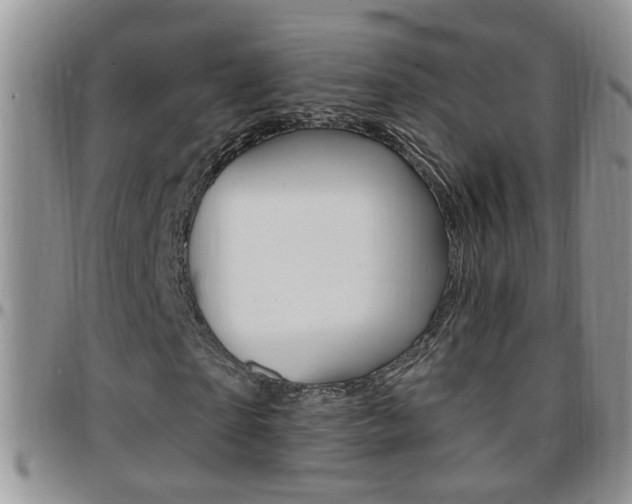 X0000096190865200801181006