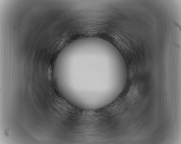 X0000096190866200801181006