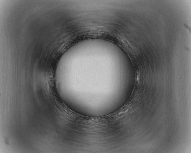 X0000096190867200801181006