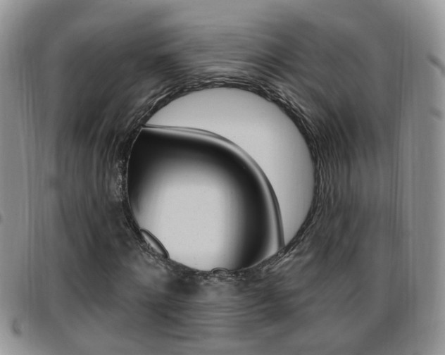 X0000096190868200801181006