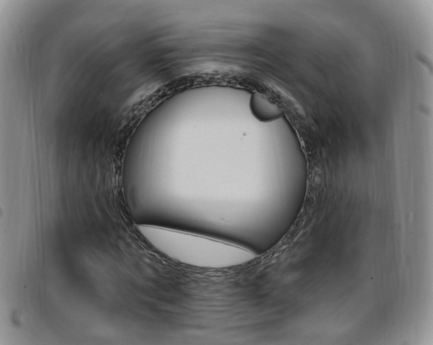 X0000096190869200801181006