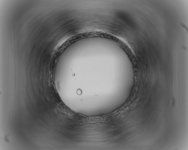 X0000096190871200801181006