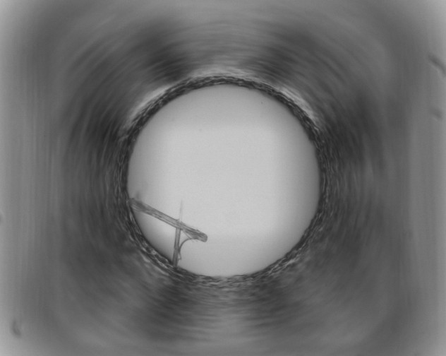 X0000096190872200801181006