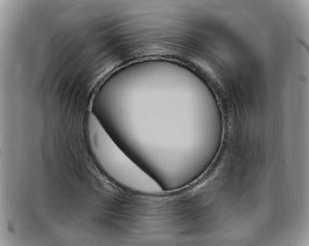 X0000096190873200801181006