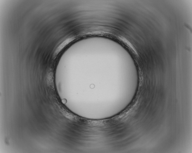 X0000096190874200801181006