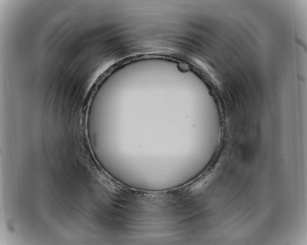 X0000096190875200801181006
