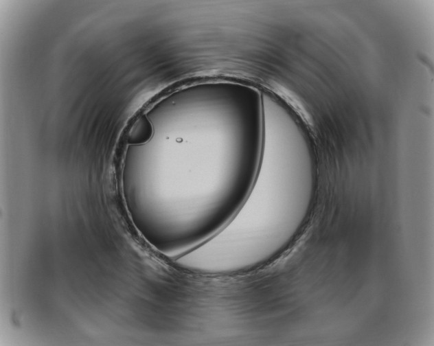 X0000096190876200801181006