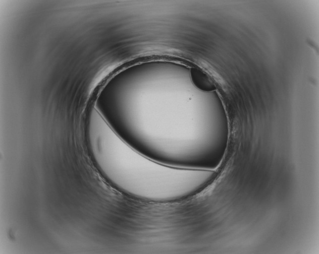 X0000096190877200801181006