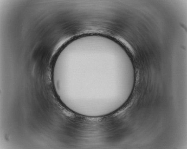 X0000096190878200801181006
