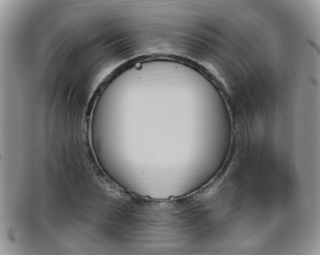 X0000096190879200801181006