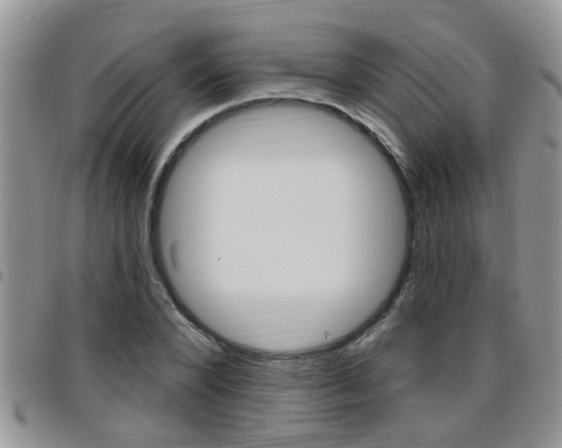 X0000096190880200801181006