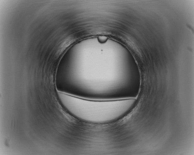 X0000096190881200801181006