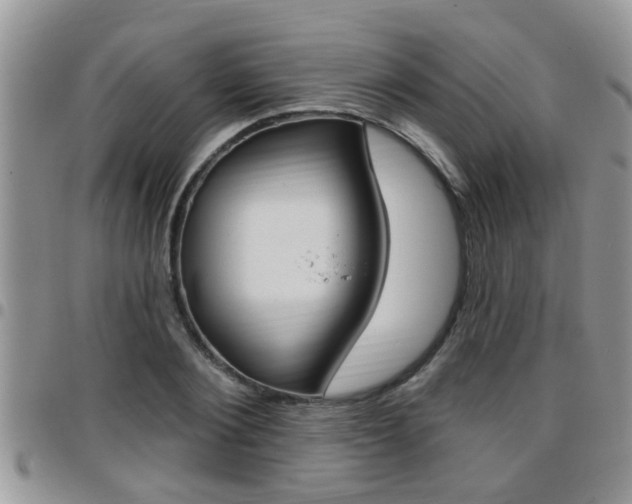 X0000096190884200801181006