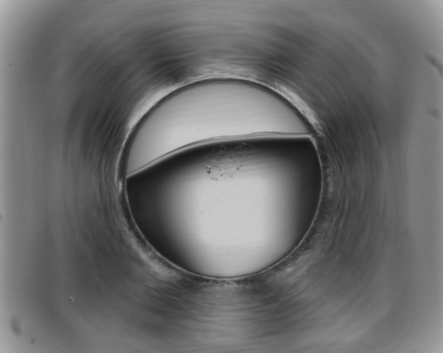 X0000096190885200801181006