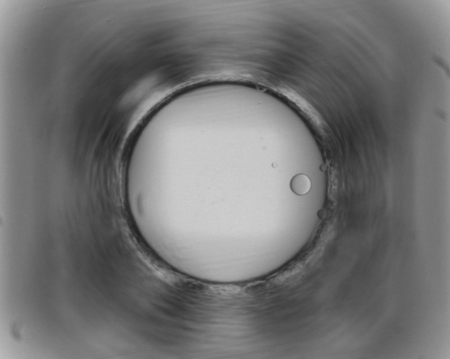 X0000096190886200801181006