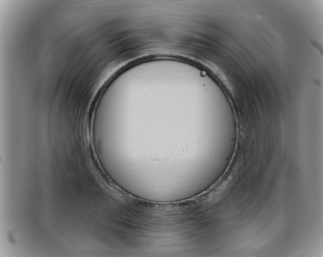 X0000096190887200801181006