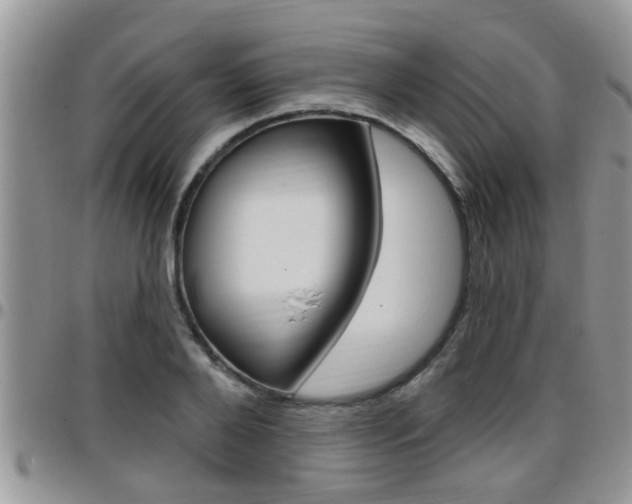 X0000096190888200801181006