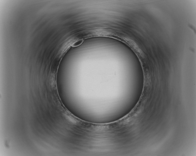X0000096190889200801181006