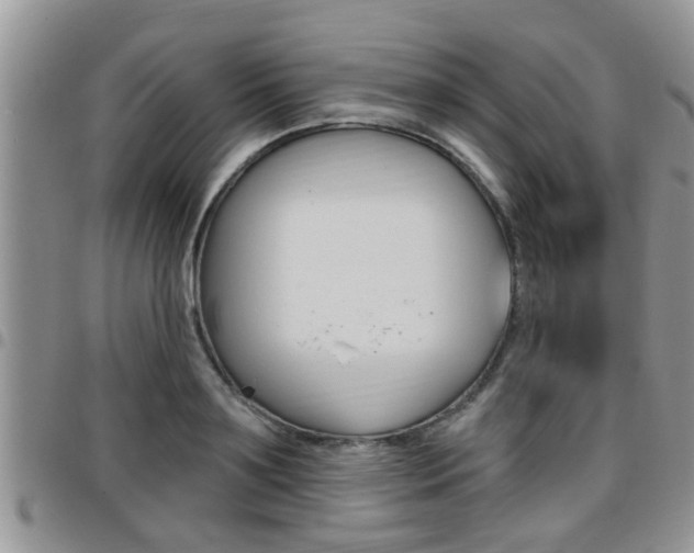 X0000096190891200801181006