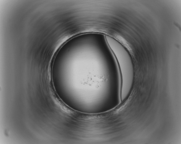 X0000096190892200801181006