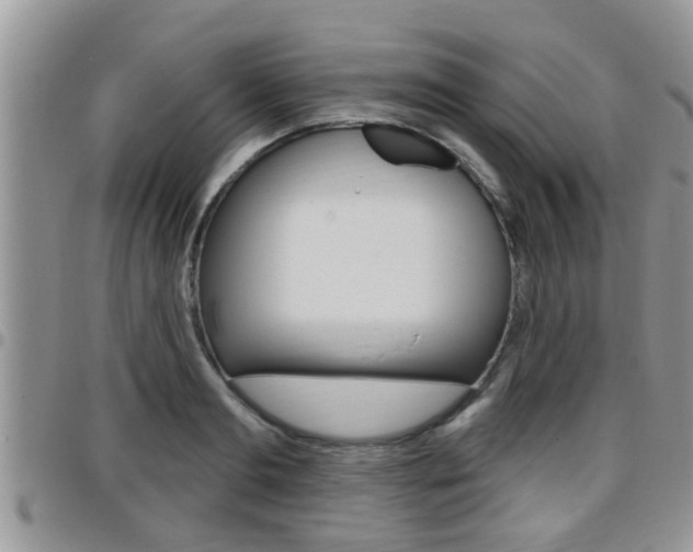 X0000096190893200801181006