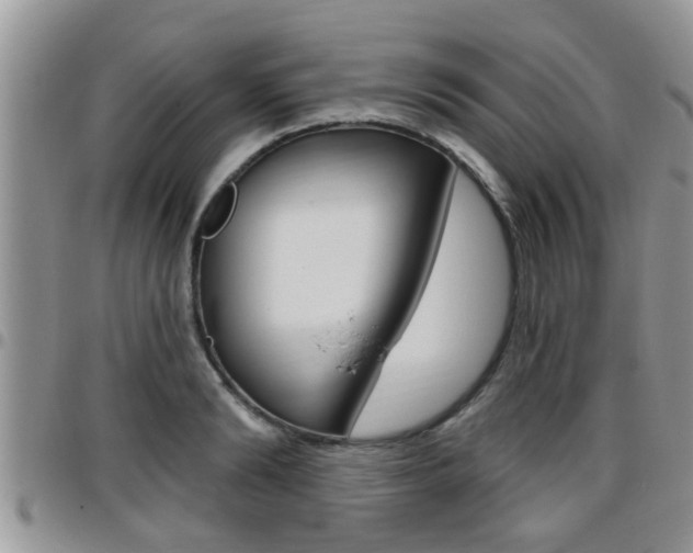 X0000096190894200801181006