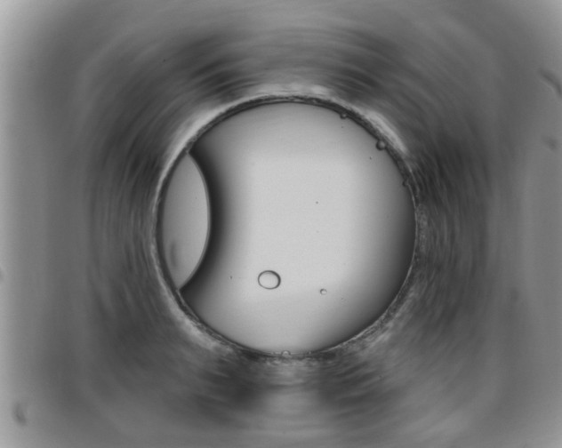 X0000096190895200801181006