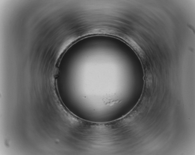 X0000096190896200801181006