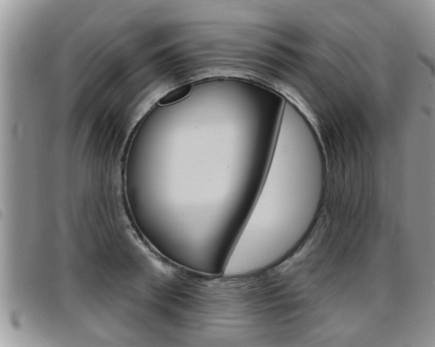 X0000096190898200801181005