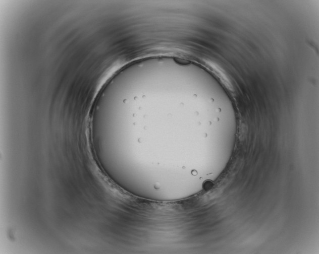 X0000096190899200801181005