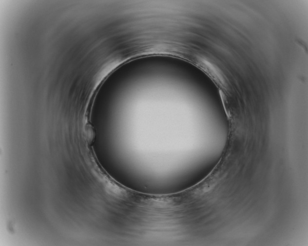 X0000096190900200801181005