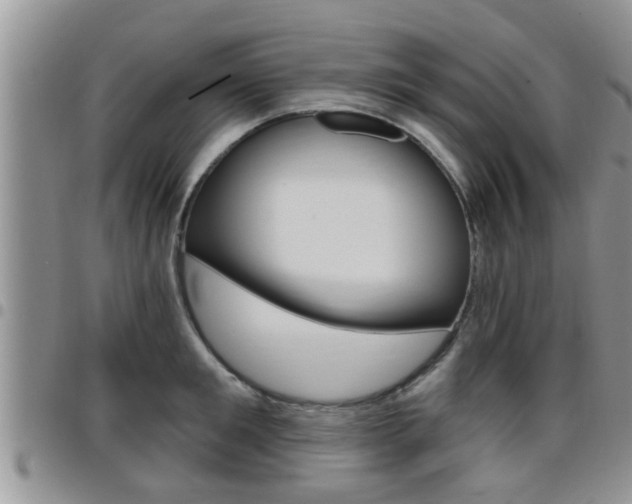 X0000096190901200801181005