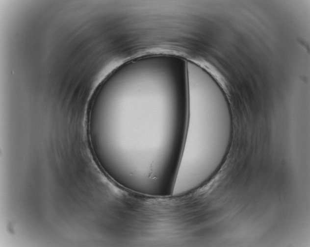 X0000096190902200801181005