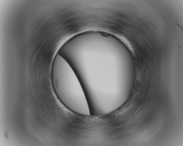 X0000096190903200801181005