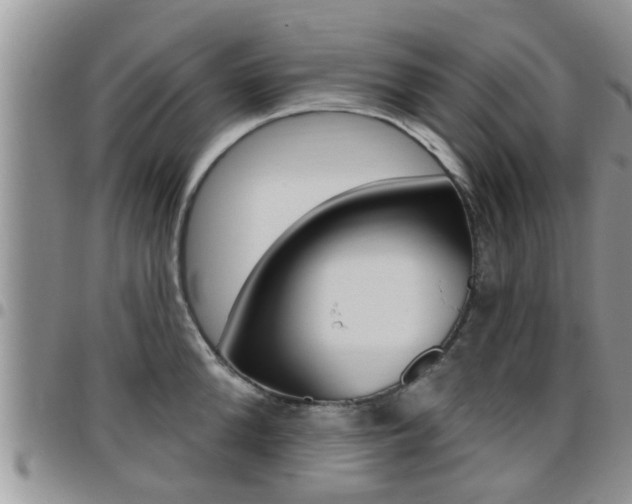 X0000096190904200801181005