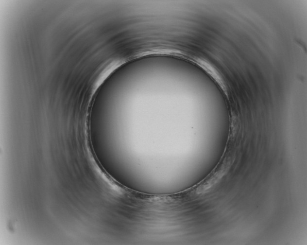 X0000096190906200801181005