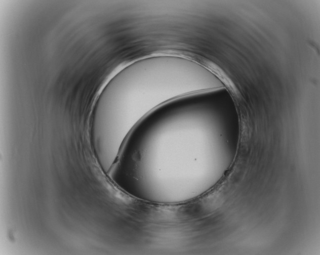 X0000096190908200801181005