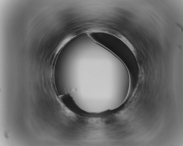 X0000096190909200801181005