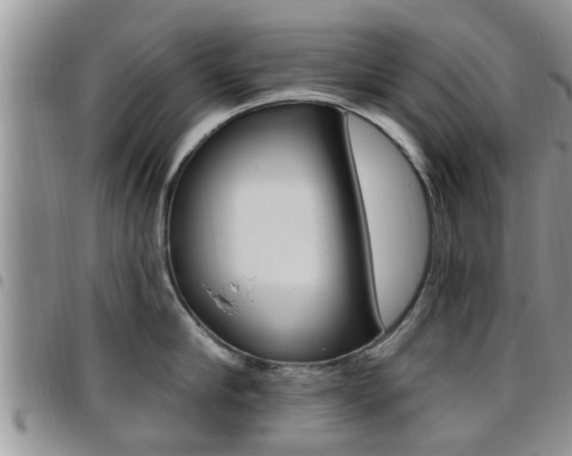 X0000096190910200801181005