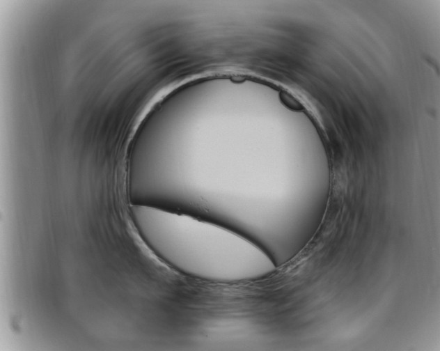 X0000096190911200801181005