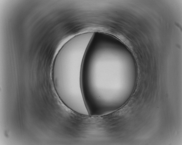 X0000096190912200801181005