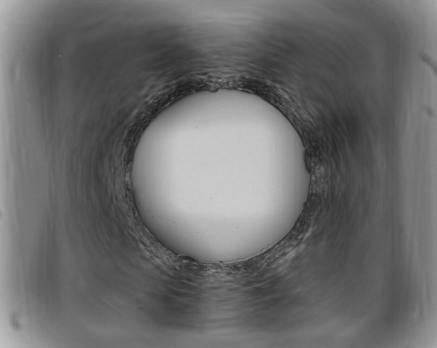 X0000096190913200801181005
